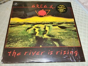 GREG X VOLZ/The River is Rising 輸入盤LPレコード　盤面波うったような模様？汚れ？ジャケ良好　PETRAのVoの1986のSoloアルバム入手困難