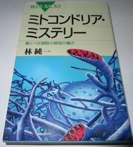 ミトコンドリア・ミステリー 林純一 ブルーバックス