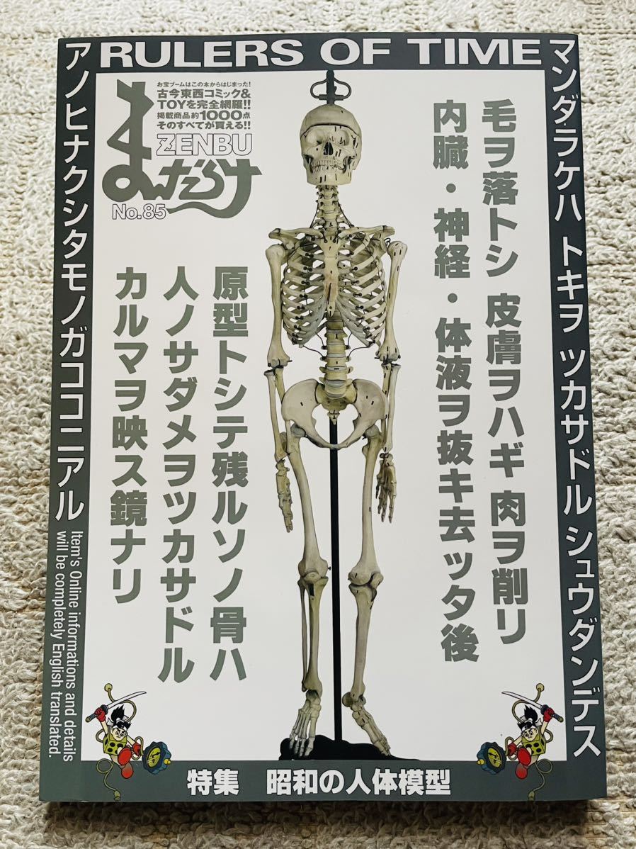 人体解剖模型の値段と価格推移は？｜3件の売買データから人体解剖模型