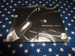 DAVID SYLVIAN『CAMPHOR』限定盤2CD/廃盤 (JAPAN,NINE HORSES)