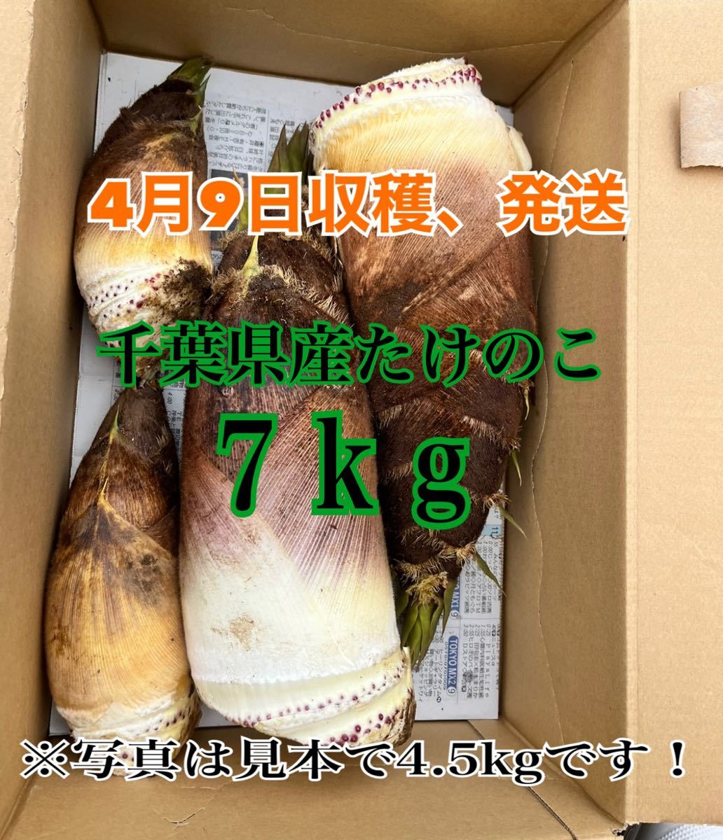 一流の品質 はんさむ様 20キロ 食品 生姜20kg 農薬未使用 無農薬 【超