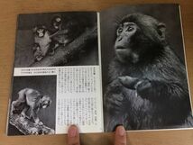 ●P191●動物園のけもの●サルヒヅメカモシカキリンカバゾウカンガルー肉食タヌキ猛獣ヒョウピューマトラ●1957年7刷●岩波写真文庫●即決_画像4