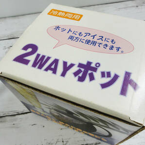 2WAY ポット ガラスポット 冷熱両用 ホット＆クール ティーポット 日本茶 紅茶 耐熱の画像5