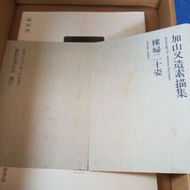 加山又造 装飾の世界 京都書院_画像8