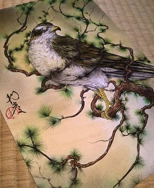 【花鳥画】鷹 松 鳥