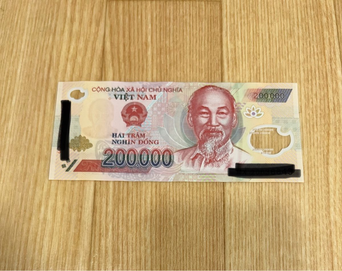 ベトナムドン旧札 ベトナムドン旧紙幣 10万ドン 珍しい - 通販