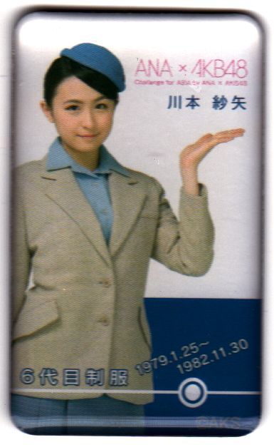 2025年最新】Yahoo!オークション -ana akb マグネットの中古品
