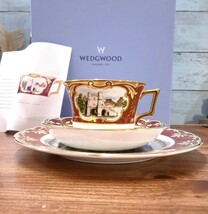 未使用☆WEDGWOOD ウェッジウッド GENIUS COLLECTION YORK トリオ カップ＆ソーサー プレート 限定1000セット 希少 ジーニアスシリーズ _画像3