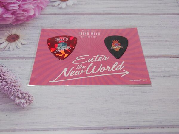 入野自由 Live Tour 2017"Enter the New World" グッズ ピックセット