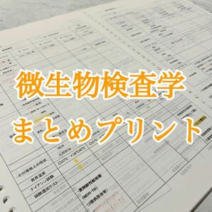 微生物検査学　まとめプリント