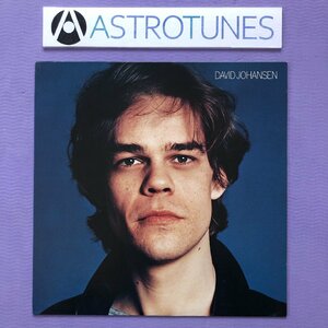 傷なし美盤 レア盤 デヴィッド・ヨハンセン David Johansen 1978年 LPレコード ニュー・ヨーク・ロックン・ローラー 国内盤 New York Dolls