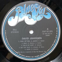 傷なし美盤 レア盤 デヴィッド・ヨハンセン David Johansen 1978年 LPレコード ニュー・ヨーク・ロックン・ローラー 国内盤 New York Dolls_画像7