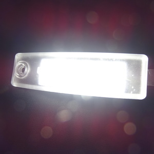 激白光 ! 交換式 ! トヨタ LED ナンバー灯 ライセンス ランプ ヴァンガード 30系 ACA33W ACA38W GSA33W GSA38W 240S Gパッケージ