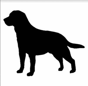  собака Rav Rado ruretoli балка стикер чуть более склеивание черный 
