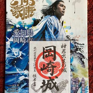 岡崎城（日本百名城）御城印　プレミアムクーポン限定版　どうする家康パンフレット付き　神の君　松本潤