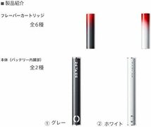 DR.VAPE フレーバーカートリッジ(クラシックスモーク)_画像3