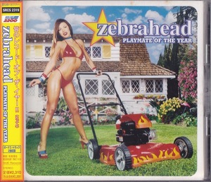 ゼブラヘッド / ZEBRAHEAD / プレイメイト・オブ・ザ・イヤー /中古CD！62942