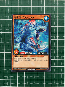 ★遊戯王 ラッシュデュエル VSパック マキシマム・フォース #RD/VSP1-JP035 海竜王グランガノス ノーマル「N」★