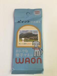 【新品、限定】ご当地ワオンカード 　ゆふいん湯歩　　未開封WAON　※同梱可　