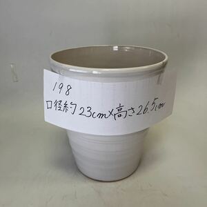 198 胡蝶蘭が入っていた植木鉢　陶器製　白