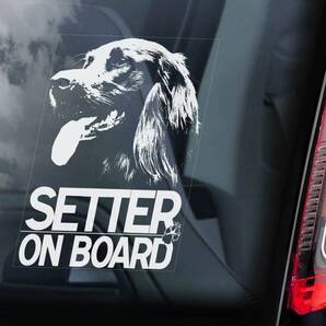 ◆アイリッシュ・セッター/アイリッシュ・セター■外張り カーステッカー 145×100mm 外貼り カー ステッカー シール DOG ON BOARD@D1 3288