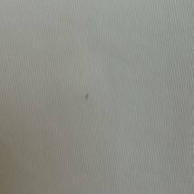 heliople エリオポール　コットン　フレアスカート サイズ34 新品　ホワイトコーデ　デニム地に近い　春スカート 　秋スカート_画像7