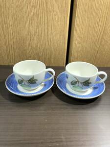 ▼ Wedgewood ≪saraz Garden Cup Cup &amp; Buster 2 клиенты ≫ Wedgwood насекомого сад Сары