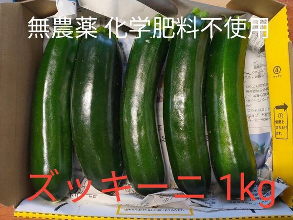 栽培期間中農薬、化学肥料不使用 ズッキーニ 緑 約1kg