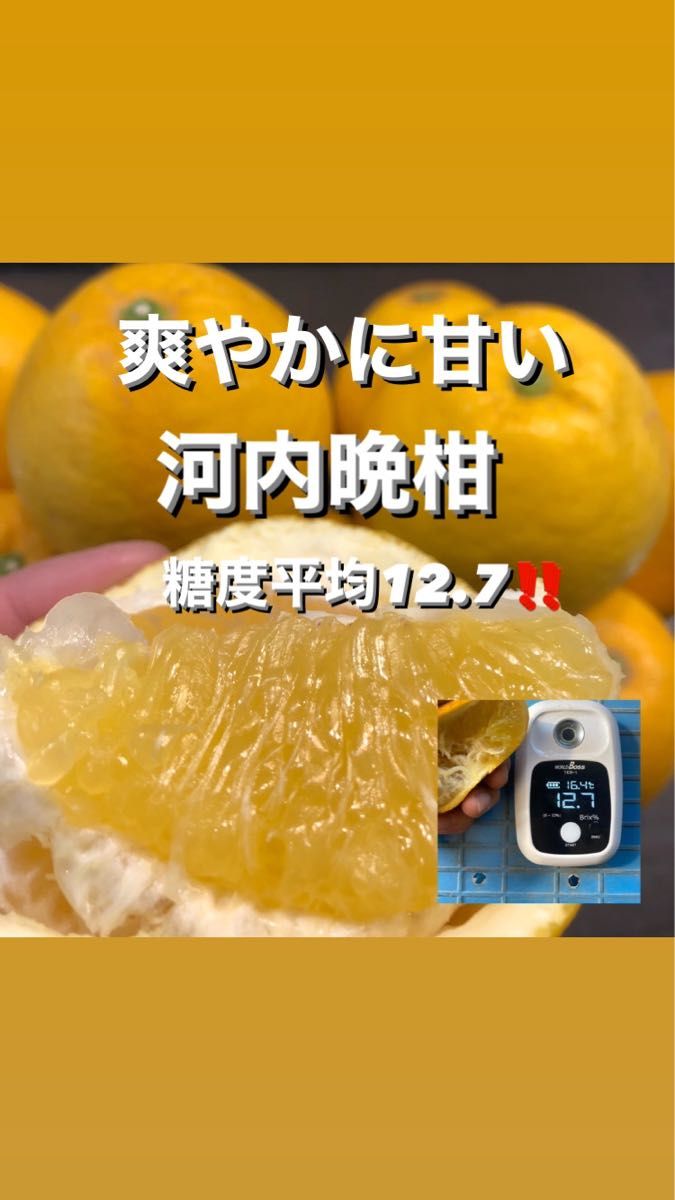 みかん、柑橘類(食品)の新品・未使用品・中古品(29ページ目)｜PayPayフリマ