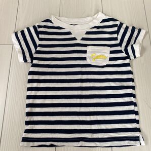 【Cohen】100サイズ