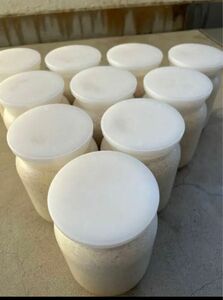 産卵用　カワラ菌糸瓶1100 10本セット　2ヶ月保存 菌糸ビン25日まで500円OFF