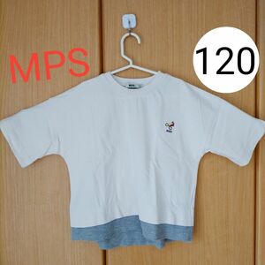 MPS　120cm　Right-on　ライトオン