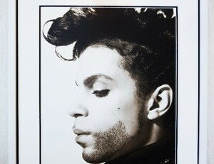  Prince / art Picture /Prince/1991/minea Police / frame new goods / Rav * symbol / purple rain / Dance * lock / interior / frame attaching 