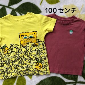 半袖Tシャツ　キッズ　100センチ 2枚セット