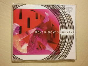 『David Bowie/Survive(2000)』(Virgin 7243 8 96487 0 6,EU盤,3track,映像付,ライブ音源収録,Thursday’s Child,Seven)