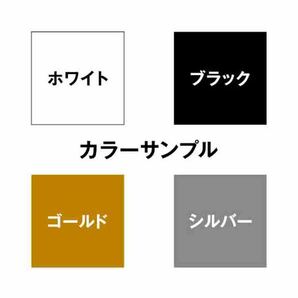 【ドラレコ】トヨタ ヴェルファイア【20系】24時間 録画中 ステッカーの画像3