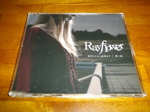 裏切りのない世界まで　Rayflower　裏切りは僕の名前を知っている