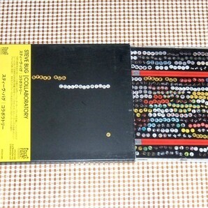 廃盤 Steve Bug スティーブ バグ Collaboratory // Simon Flower Donnacha Costello Cle CASSY PARIS THE BLACK FU GIGI 参加/ ベルリン
