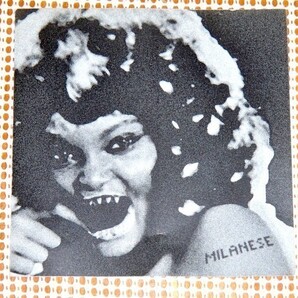 廃盤 Milanese ミラネーゼ Adapt / Planet Mu 隠れた名作 /Virus Syndicate 参加 CHRIS CLARK Hrdvsion REMIX 参加 / Various Production