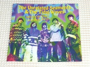 廃盤The Unrelated Segments & The Tidal Waves アンリレイテッド セグメンツ Where You Gonna Go/60s デトロイト ガレージ ～ サイケ 秀作
