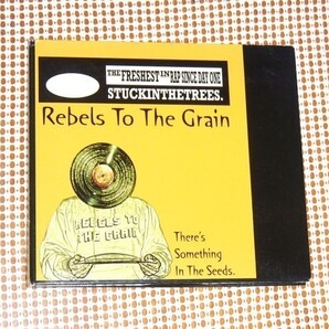 レア 4000枚限定 廃盤 Rebels To The Grain レベルス トゥー ザ グレイン There's Something In Seeds / 西海岸 SP + MPC 使用 Dopeな1枚