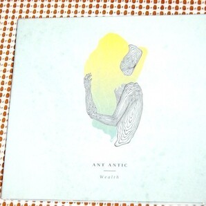 Ant antic アント アンティック Wealth / Seayou Records / Marco Kleebauer (Leyya)+ Tobias Koett / ウィーン発 ハイレベル 電子デュオ