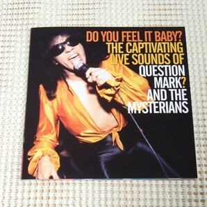 廃盤 Question Mark & The Mysterians Do You Feel It Baby ?/ Norton / デトロイト チカーノ 爆裂グルーヴ ガレージ R&R / 96 Tears 収録