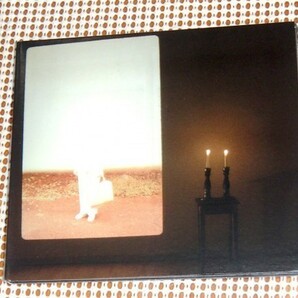 Musee Mecanique Hold This Ghost / Frog Stand /US インディー 隠れた良作/ Beirut Laura Gibson 初期 Radiohead 好きな方にお勧め