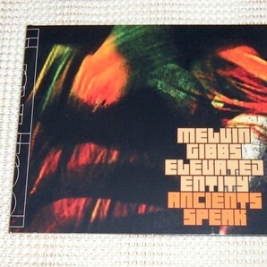 廃盤 Melvin Gibbs メルヴィン ギブス Ancients Speak / Arto Lindsay Kassin Pete Cosey Blackbyrd McKnight Amayo ( Antibalas )等参加