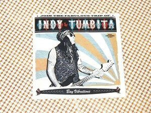 廃盤 Indy Tumbita Bay Vibrations / Israel Ruiz ( Thee Tumbitas Pussycats )別名儀/ Surf Cookie / スペイン ガレージ サーフロック