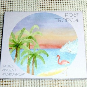 James Vincent McMorrow ジェイムス ヴィンセント マクモロー Post Tropical / Vagrant/アイルランド SSW / BON IVER JAMES BLAKE 等好きに