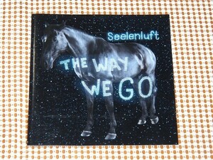廃盤 Seelenluft The Way We Go / 電子POP 良作/ Jim Reid ( Jesus And Mary Chain ) 参加 / ZONGAMIN DFA HEADMAN 等好きな方にオススメ