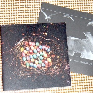 廃盤 The Intelligent Design Of Joan Of Arc ジョン オブ アーク /Tim +Nate Kinsella OWLS Everyoned American Football Cap'n Jazz 関連