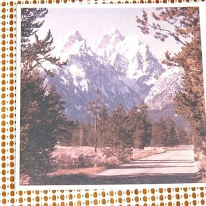 レア廃盤 Circle サークル Raunio / フィンランド / 現 Falcon /Bensiini Aktor Pyrotoxic plain ride Stench Of Decay Ascended 関連